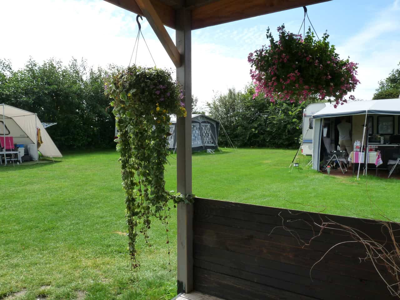 Uitzicht vanaf het overdekte terras met hangplanten over het kampeerveld