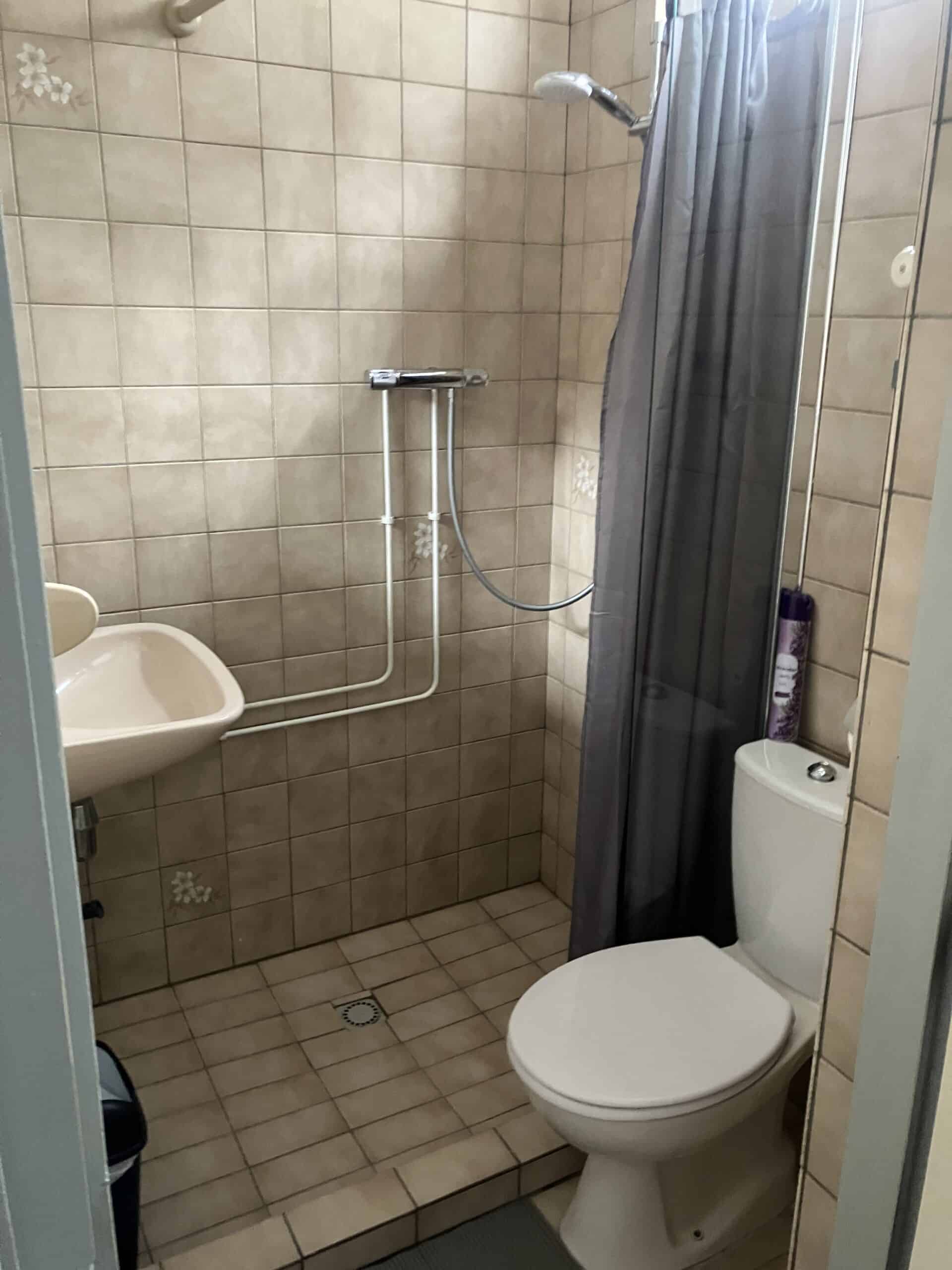 De badkamer met douche, wastafel en toilet